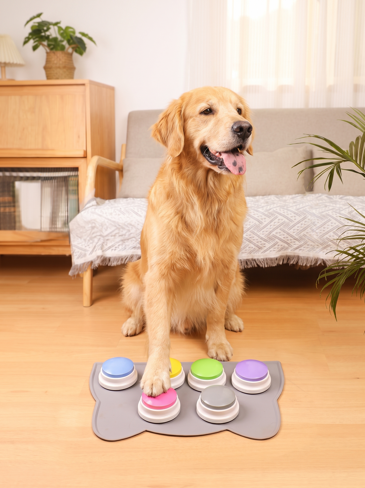 Kifosha Talk Buttons